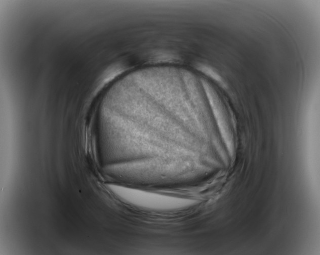 X0000086291219200704201916