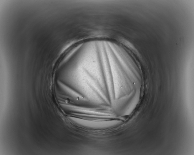 X0000086291220200704201916