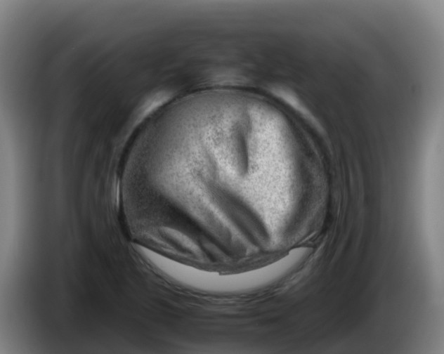 X0000086291221200704201916