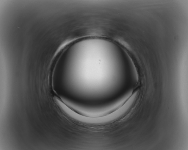 X0000086291222200704201916