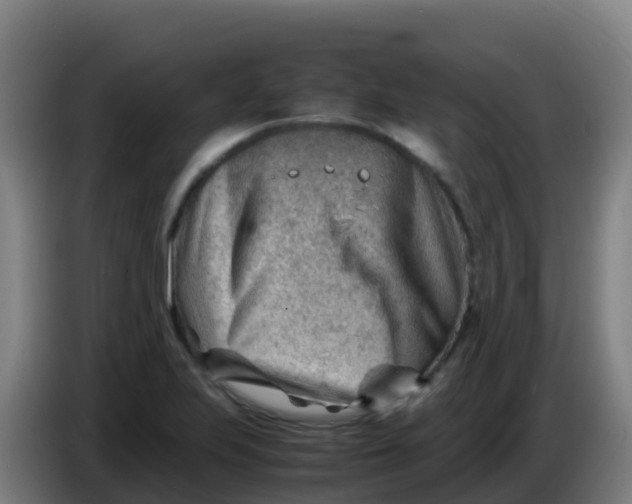 X0000086291223200704201916