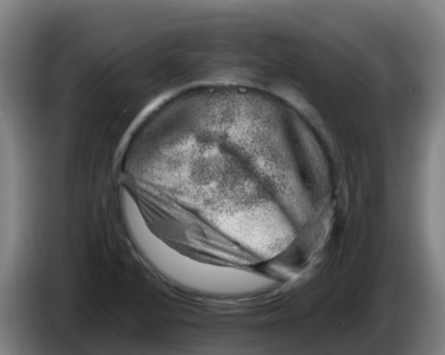X0000086291224200704201916