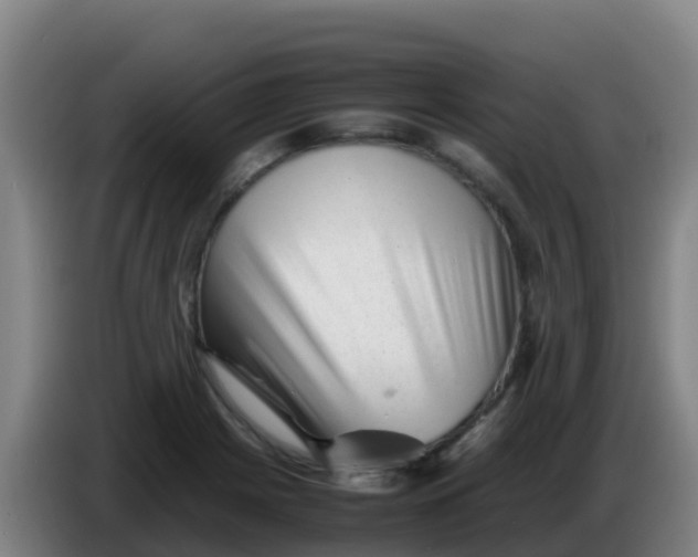 X0000086291225200704201916