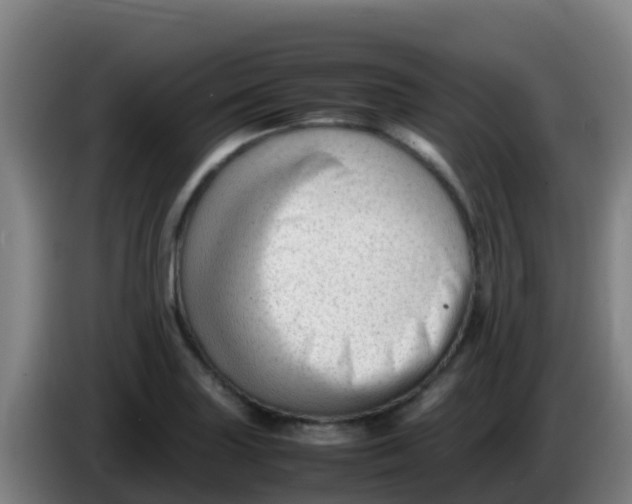 X0000086291227200704201916