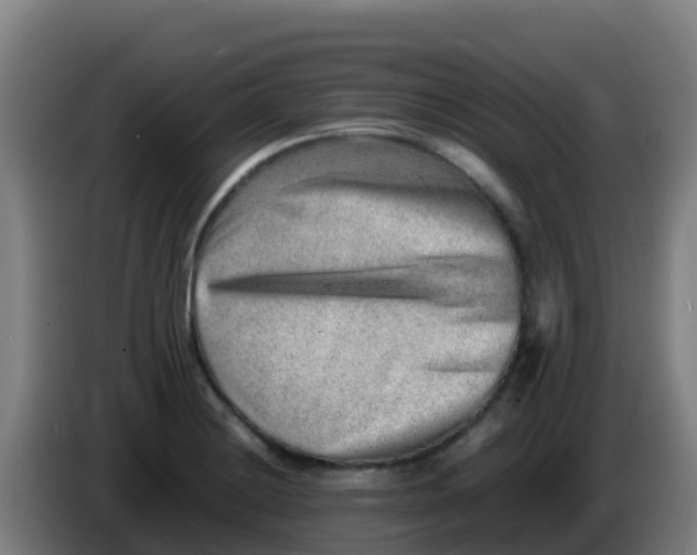 X0000086291228200704201916