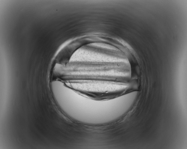 X0000086291230200704201916