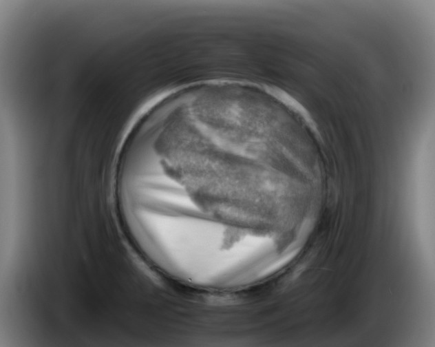 X0000086291231200704201916