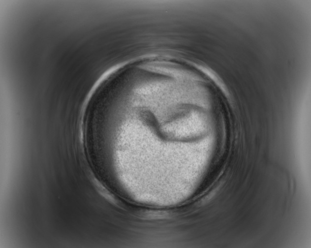X0000086291232200704201916