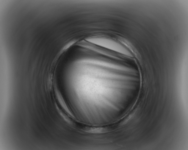 X0000086291233200704201917