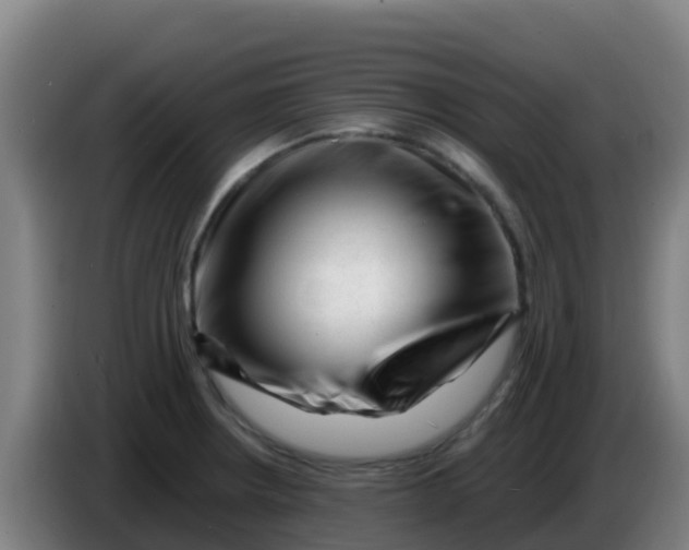 X0000086291234200704201917