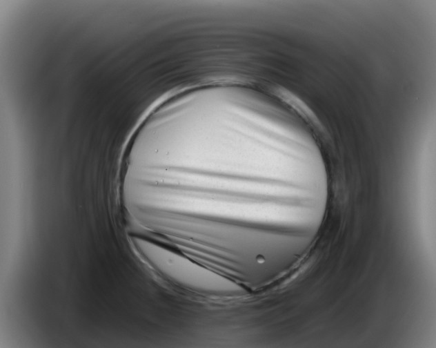 X0000086291236200704201917