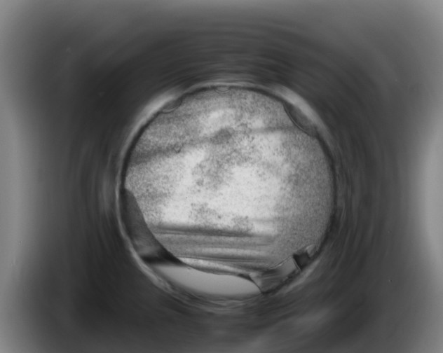 X0000086291237200704201917