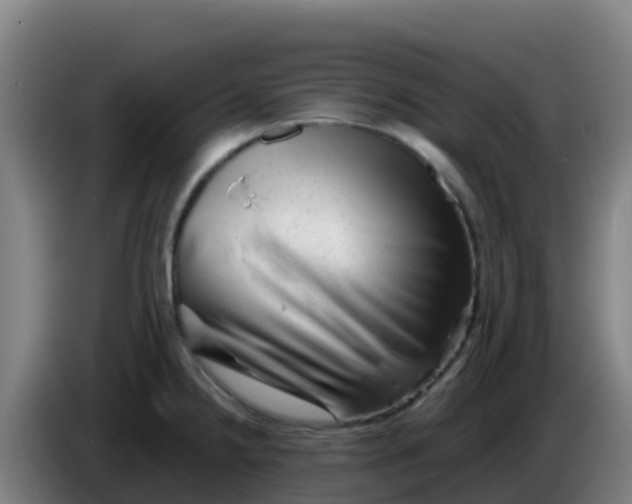 X0000086291238200704201917