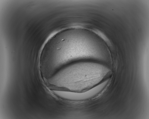 X0000086291240200704201917