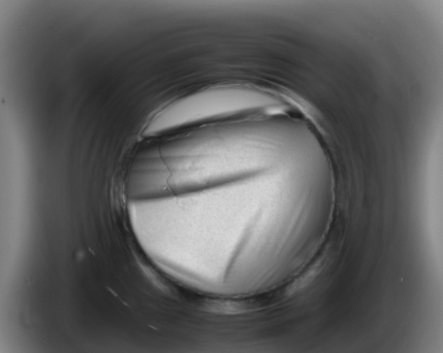 X0000086291241200704201917