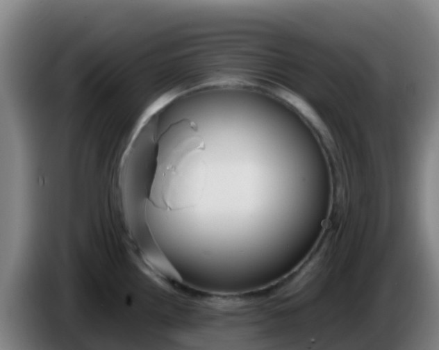 X0000086291242200704201917