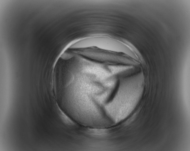 X0000086291244200704201917