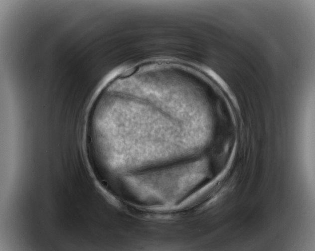 X0000086291245200704201917