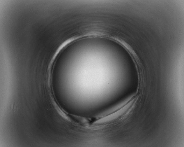 X0000086291246200704201917