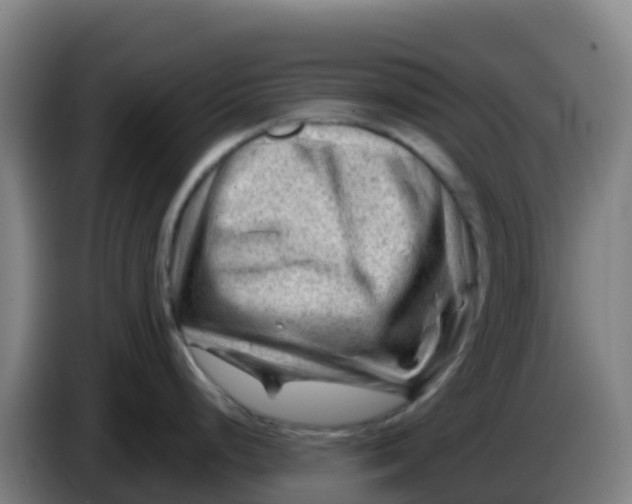 X0000086291248200704201917