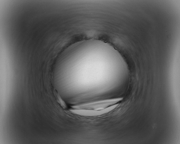 X0000086291249200704201916