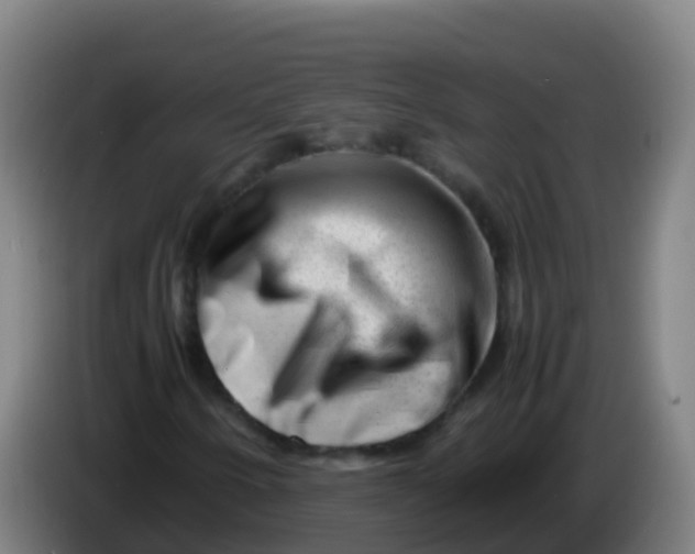 X0000086291250200704201916
