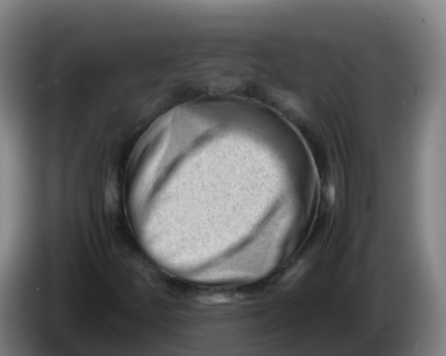 X0000086291252200704201916