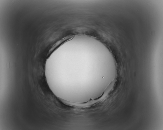 X0000086291253200704201916