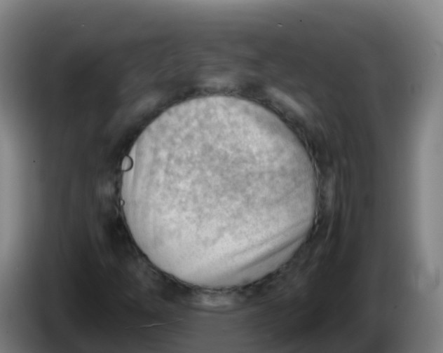 X0000086291254200704201916