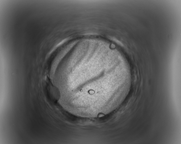 X0000086291255200704201916