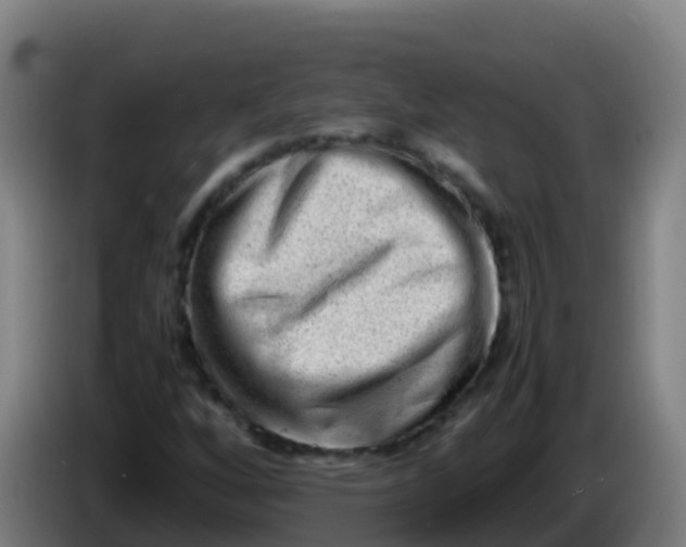X0000086291256200704201916