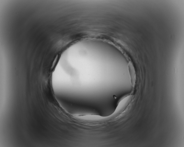 X0000086291257200704201916