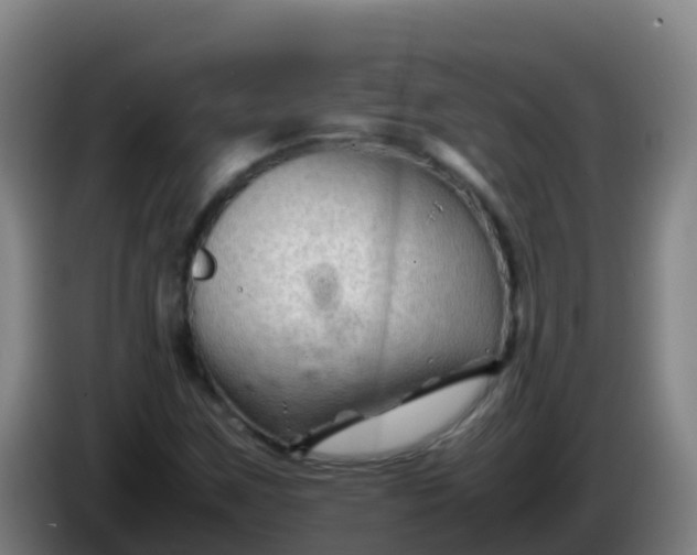 X0000086291259200704201916