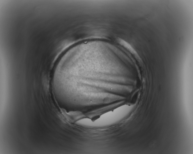 X0000086291260200704201916