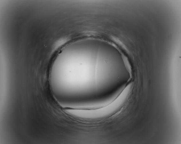 X0000086291261200704201916