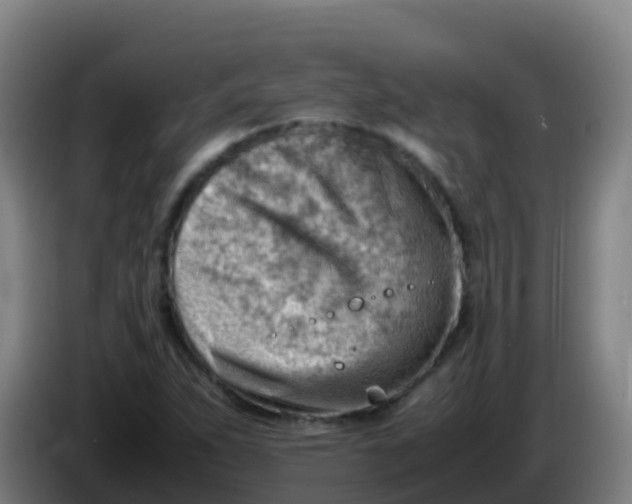 X0000086291263200704201916