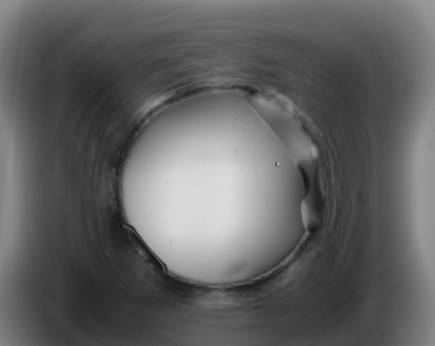 X0000086291265200704201916