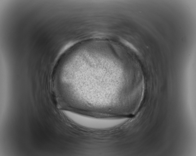 X0000086291267200704201916