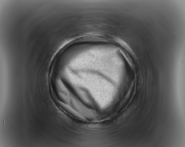 X0000086291268200704201916