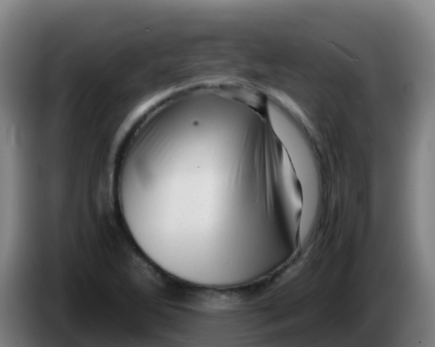 X0000086291270200704201916