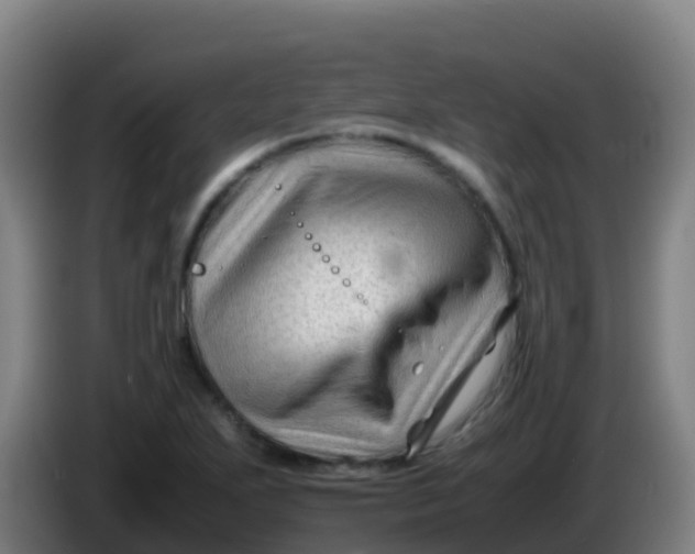 X0000086291271200704201916