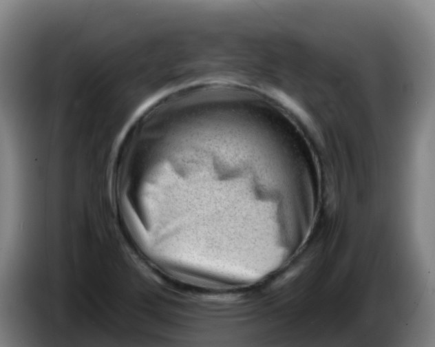 X0000086291272200704201916
