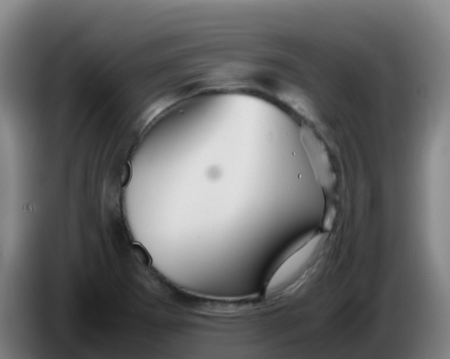X0000086291273200704201916