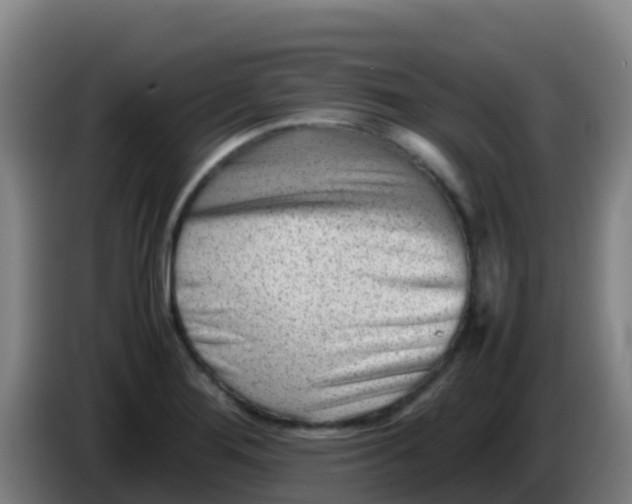 X0000086291276200704201916