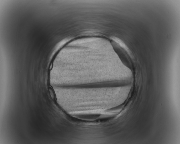 X0000086291277200704201916