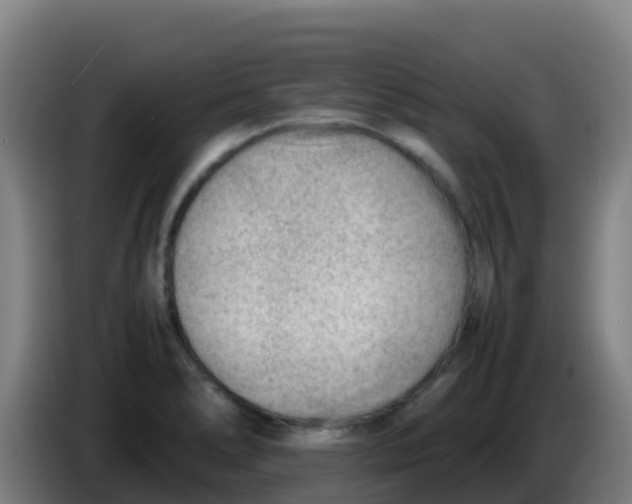 X0000086291278200704201916