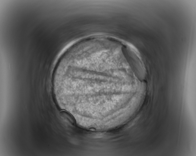 X0000086291279200704201916