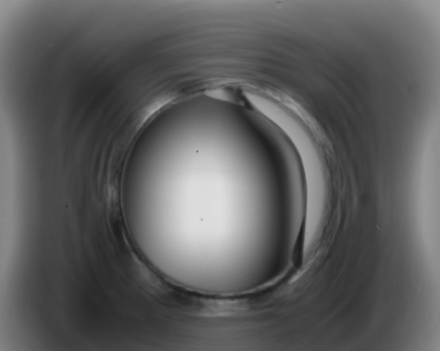 X0000086291281200704201916