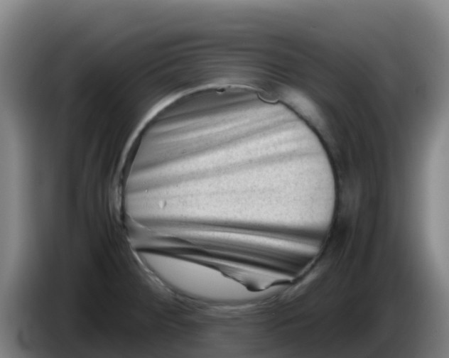 X0000086291284200704201916
