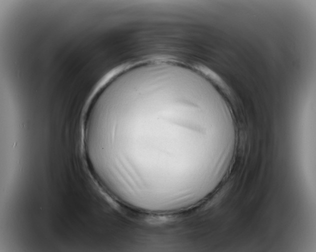 X0000086291286200704201916